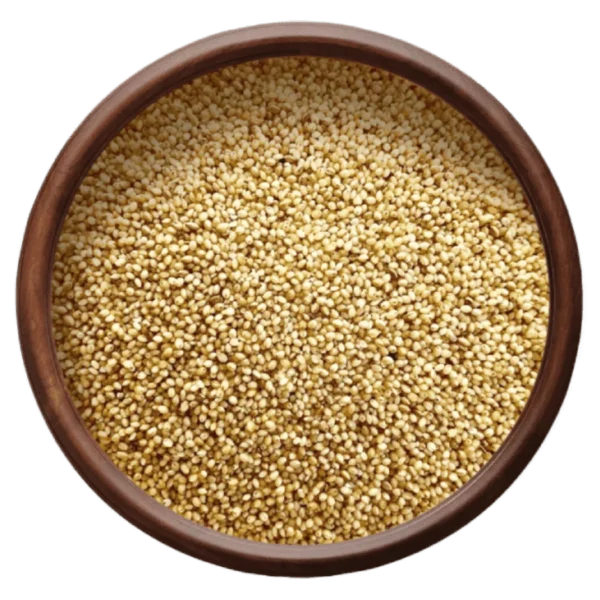 Foxtail Millet